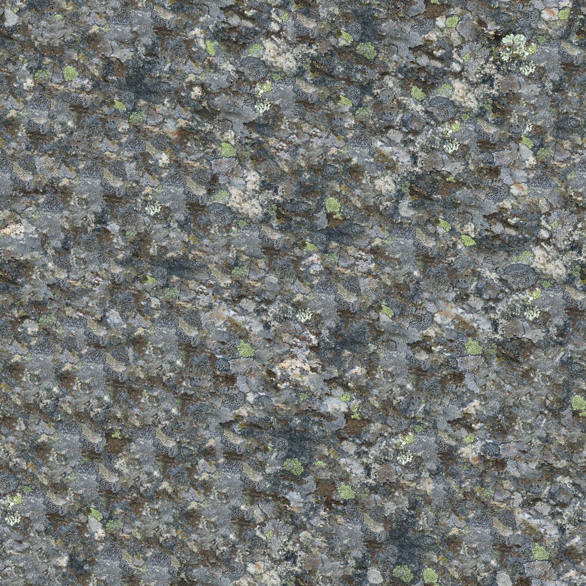 Surface de granit tacheté couverte de lichen, typique d'un monument funéraire à nettoyer